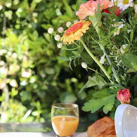 Sur 2 Niveaux Avec Terrasse A * Saint Tropez